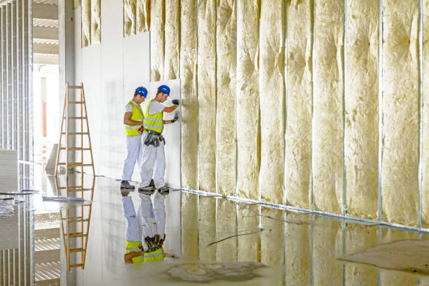 Best Spray Foam Insulation in Minneapolis, KS